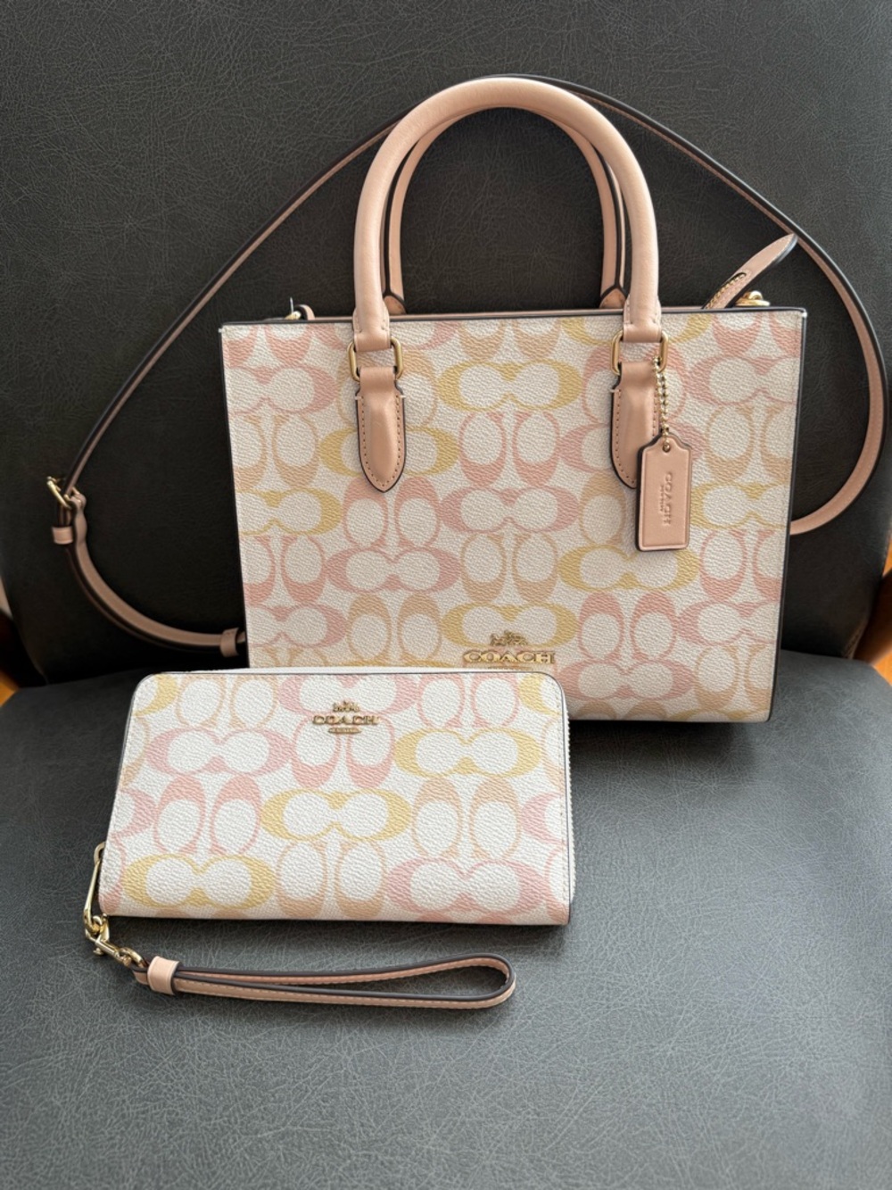 Coach Maggie Small Tote Bag and Long Zip Around wallet wristlet